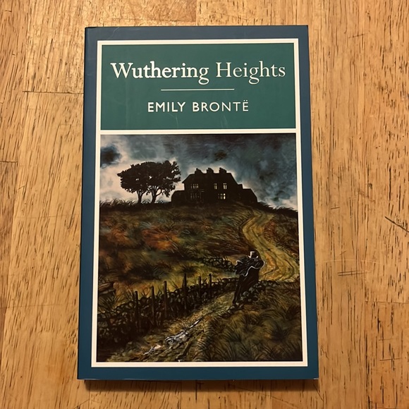 Classics Homer Dickens Hawthorne Bronte Bundle of Five Books - Picture 6 of 6